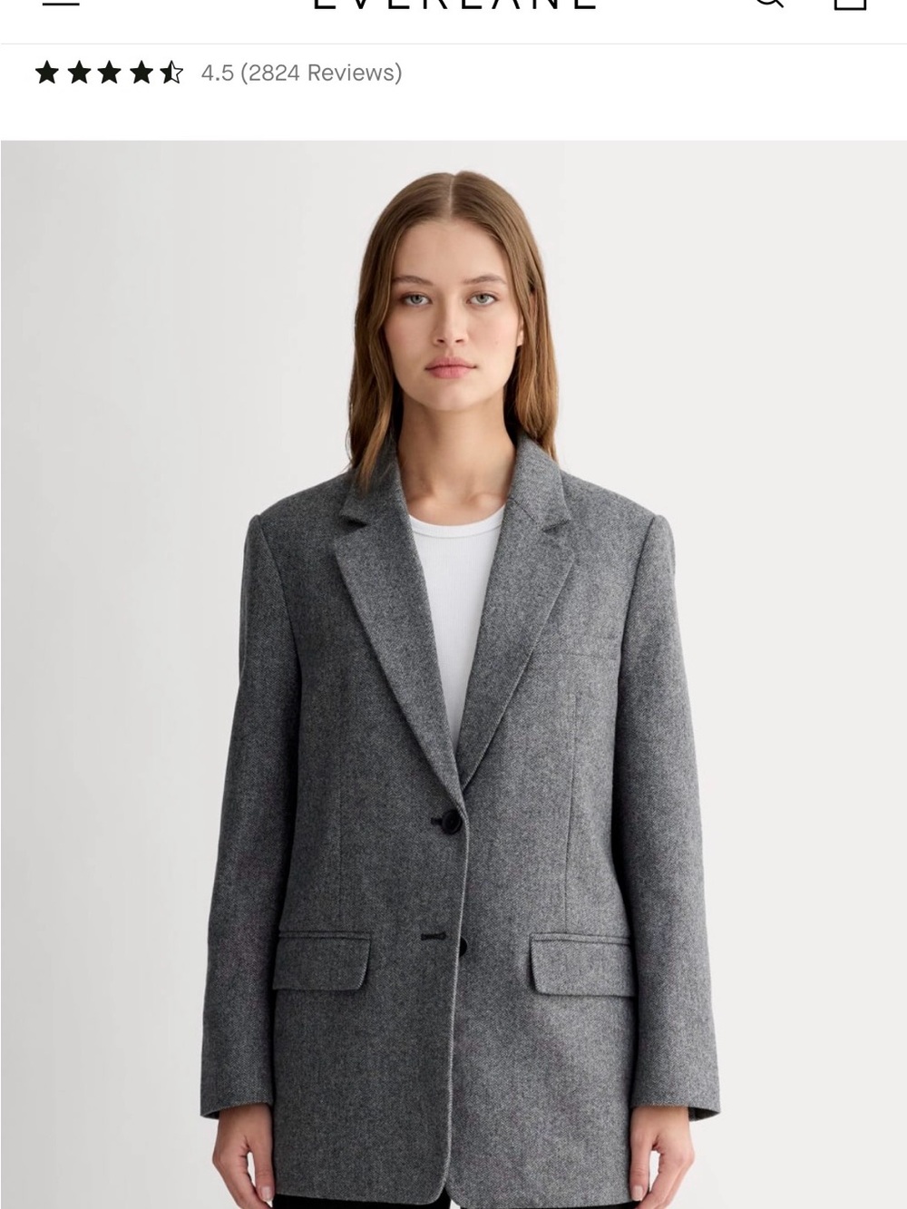 Everlane Charcoal Gray Oversized Wool-Blend Blazer